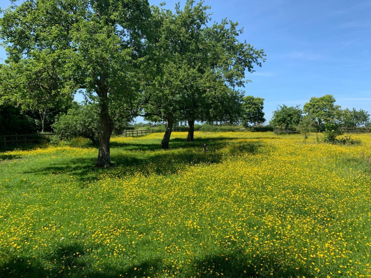 Beautiful Rural Apt, Walking Distance To Three Choirs Vineyard/Brassiere Gloucestershire Apartman Newent Kültér fotó